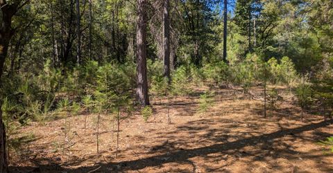 S Manzanita Hills Rd, Colfax, CA 95713 Photo