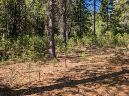 S Manzanita Hills Rd, Colfax, CA 95713 Photo