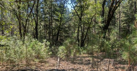 S Manzanita Hills Rd, Colfax, CA 95713 Photo