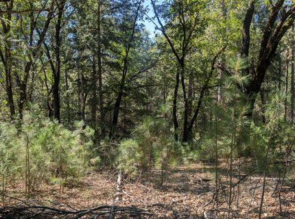 S Manzanita Hills Rd, Colfax, CA 95713 Photo