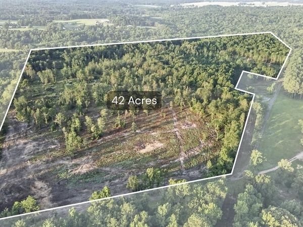 TBD 42 Acres CR 3116 , Winona, TX 75792