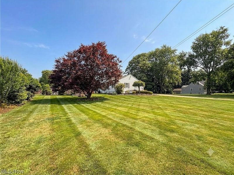 783 E Cassell Avenue, Barberton, OH 44203 Photo 19