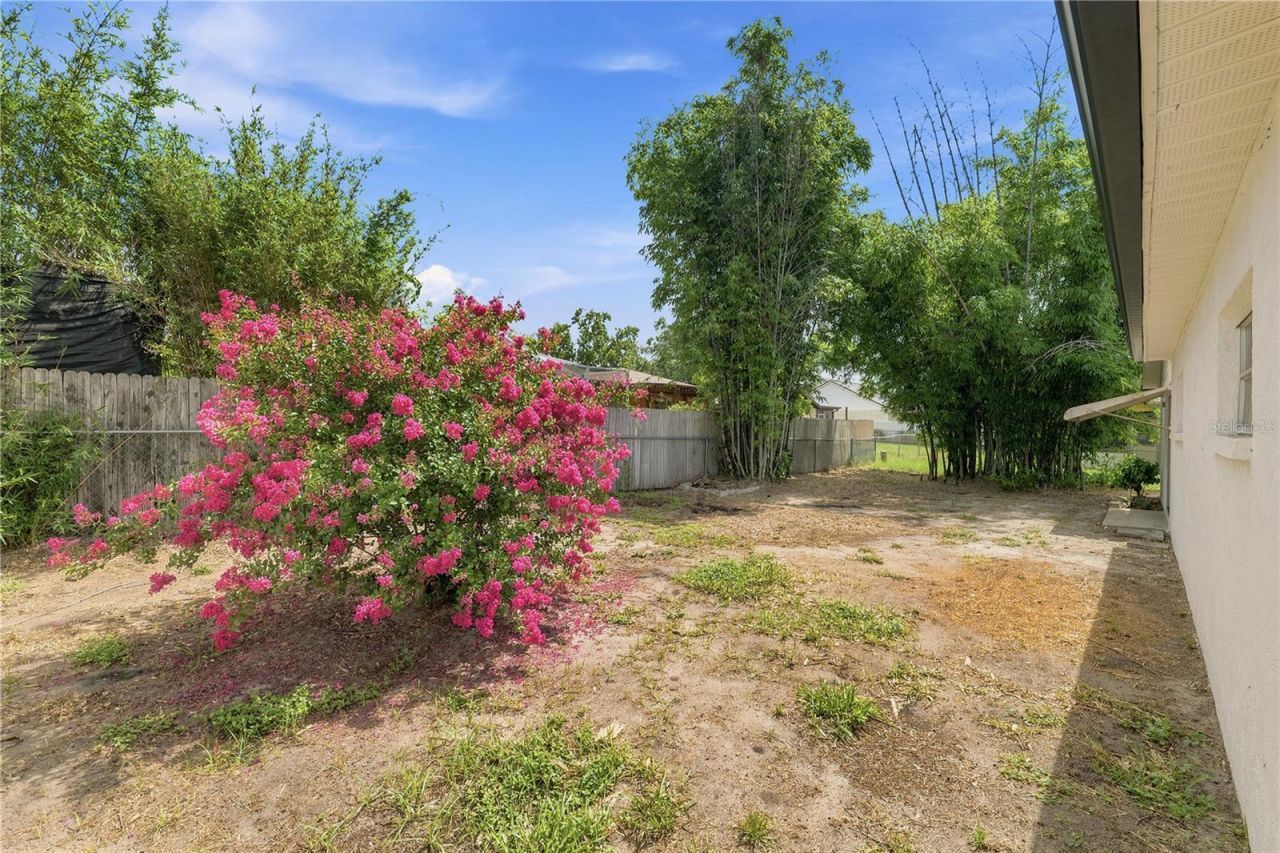 7819 Royal Stewart Drive, New Port Richey, FL 34653 Photo