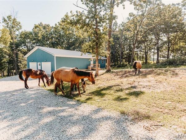 21503 Highway 28 W, Dixon, MO 65459