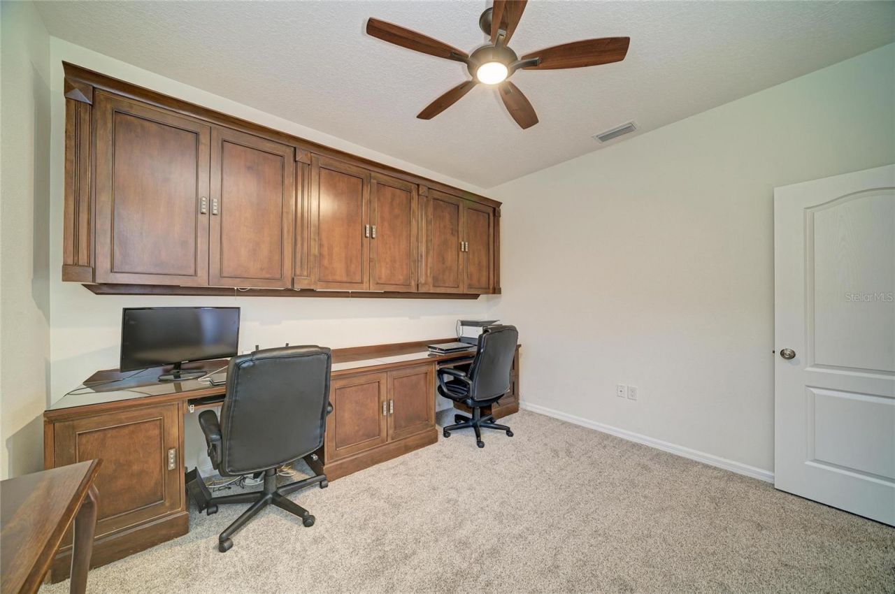 316 Star Shell Drive , Apollo Beach, FL 33572 Photo