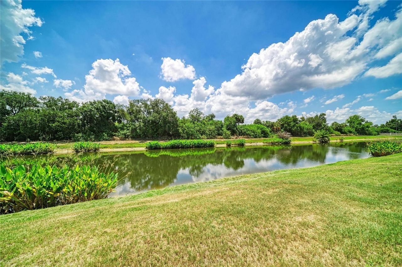 316 Star Shell Drive , Apollo Beach, FL 33572 Photo