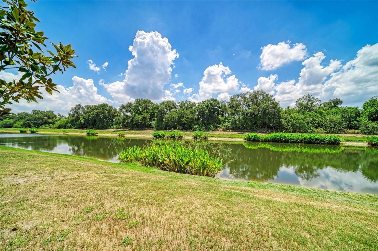 316 Star Shell Drive , Apollo Beach, FL 33572 Photo