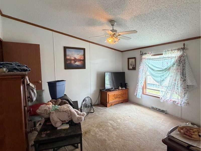 310 POPLAR Street, Newcomerstown, OH 43832 Photo 13