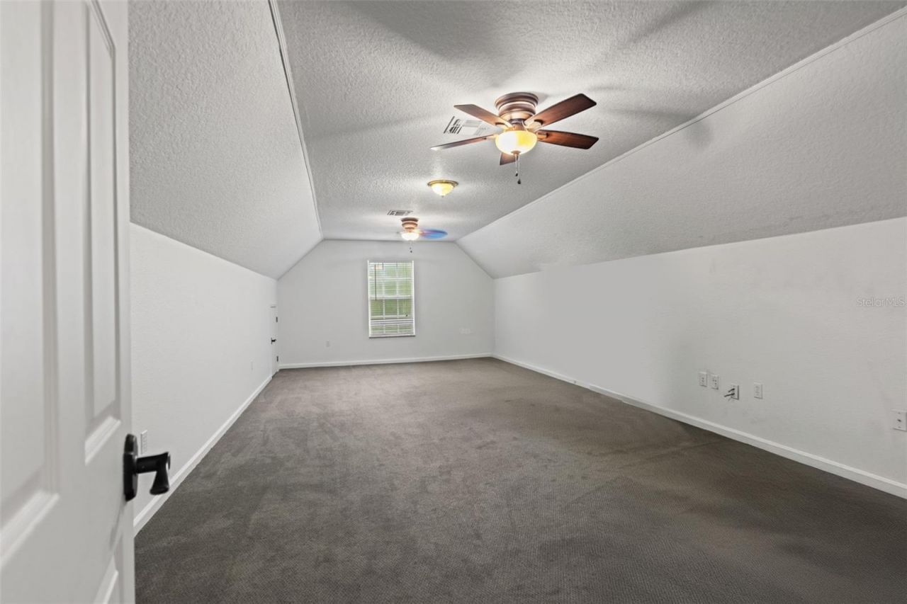 17163 Benes Roush Road, Brooksville, FL 34604 Photo