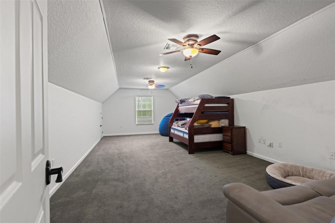 17163 Benes Roush Road, Brooksville, FL 34604 Photo