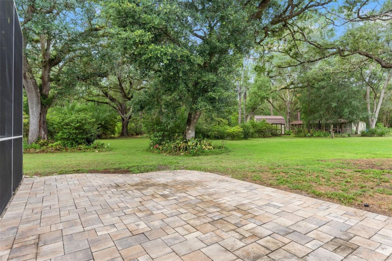 17163 Benes Roush Road, Brooksville, FL 34604 Photo
