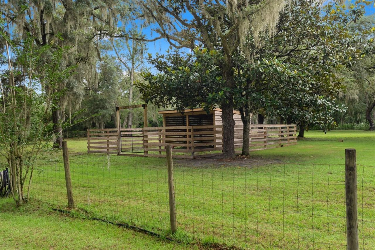17163 Benes Roush Road, Brooksville, FL 34604 Photo