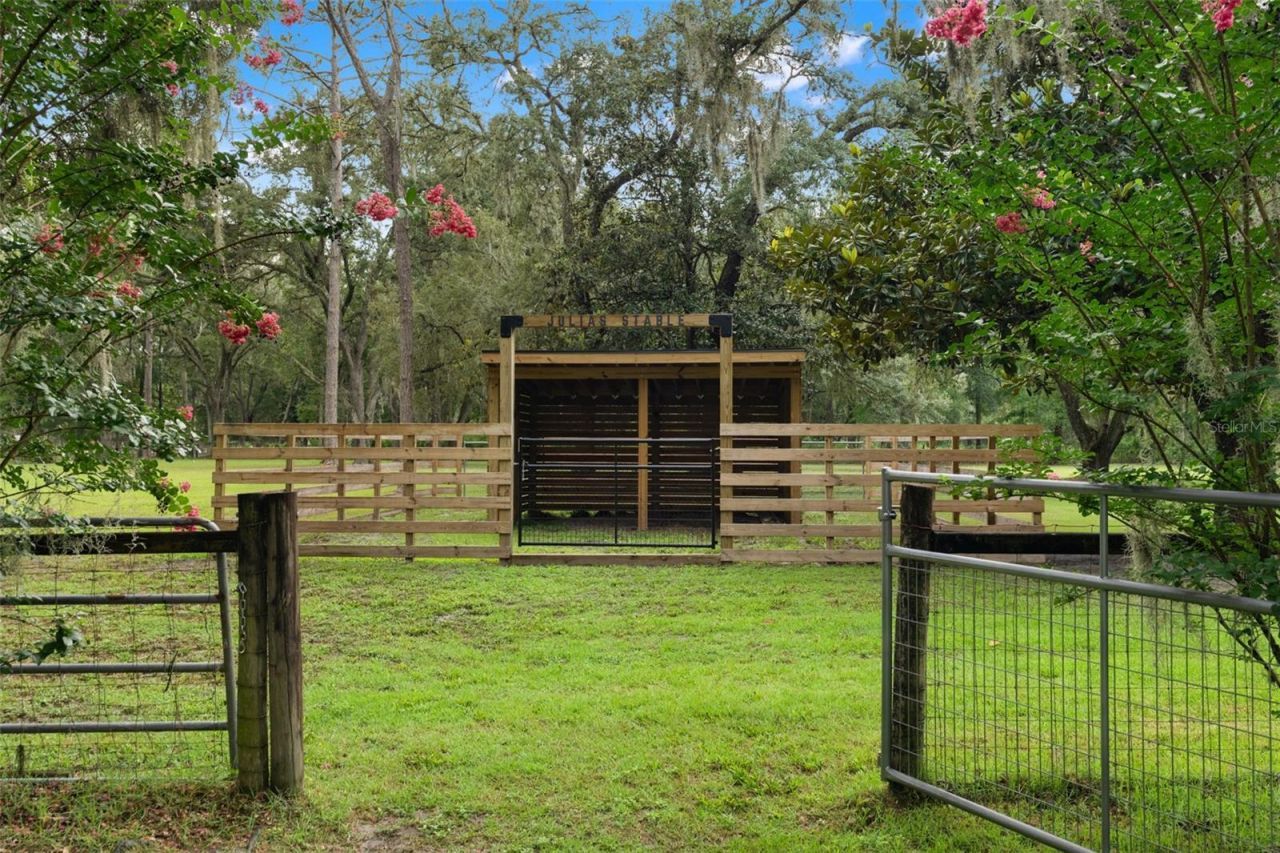 17163 Benes Roush Road, Brooksville, FL 34604 Photo
