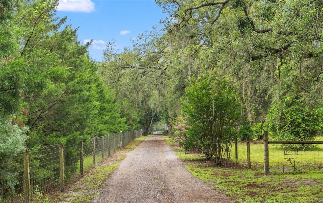 17163 Benes Roush Road, Brooksville, FL 34604 Photo