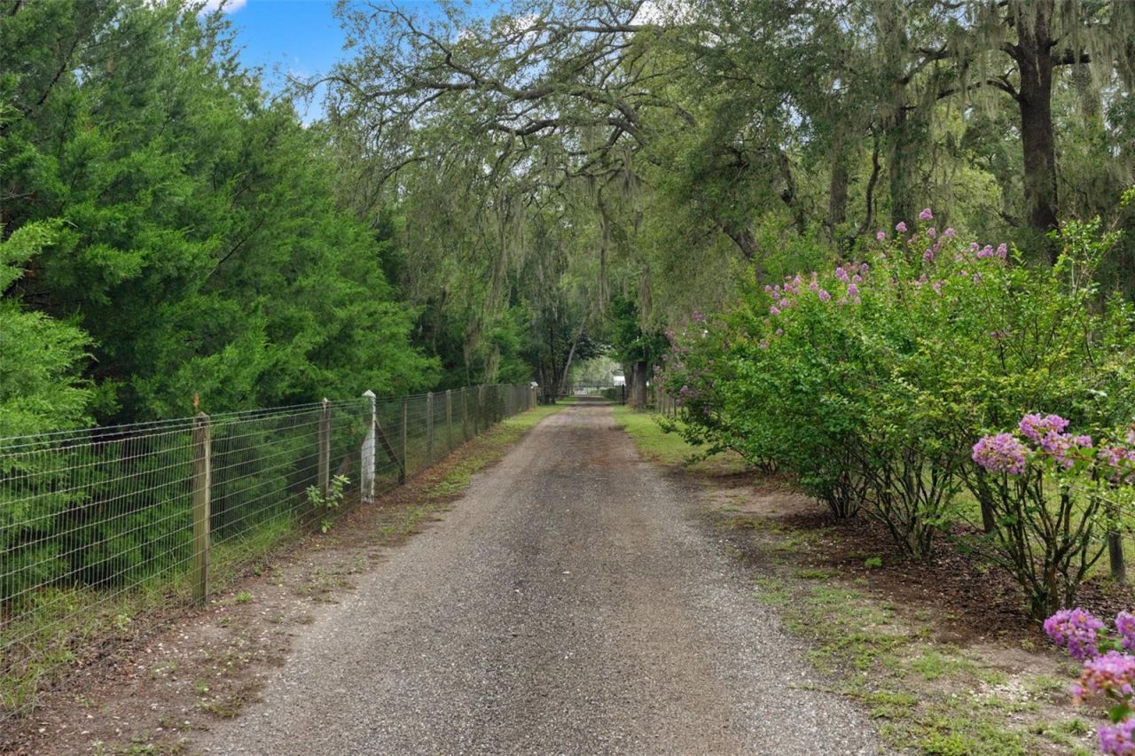 17163 Benes Roush Road, Brooksville, FL 34604 Photo