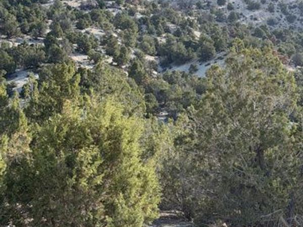 Unit 1, Salina, UT 84654