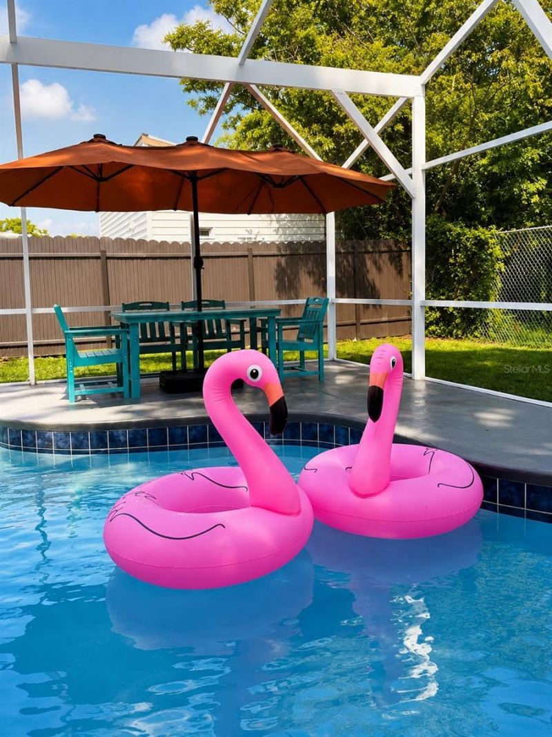 7005 Fountain Avenue, Tampa, FL 33634 Photo