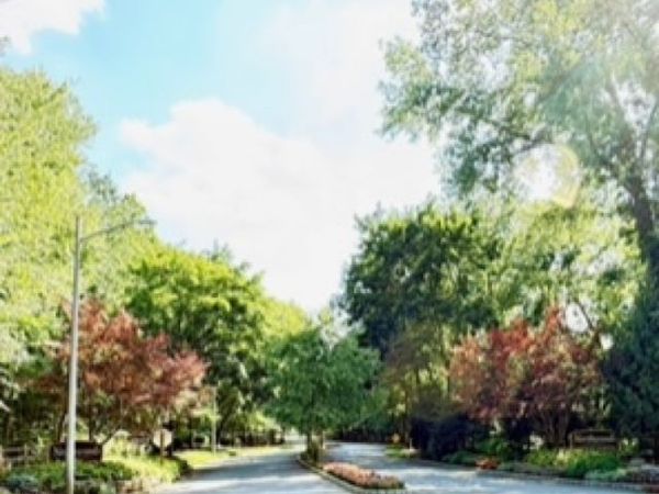 814 Hemlock Ct, Norwood, NJ 07648