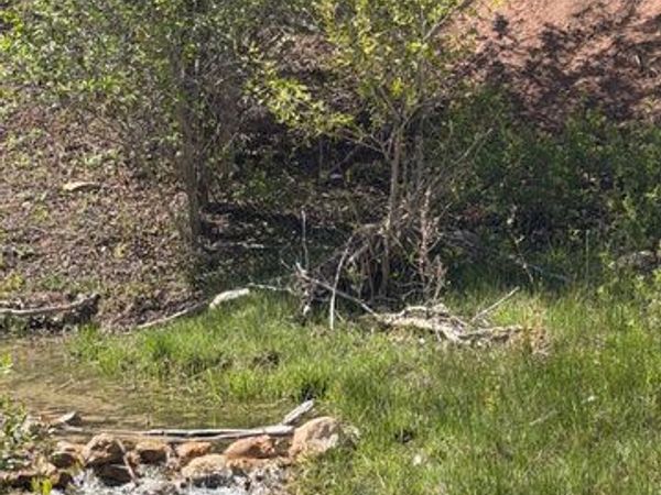 Salina, UT 84654