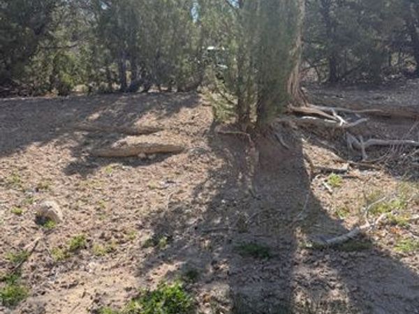 Salina, UT 84654