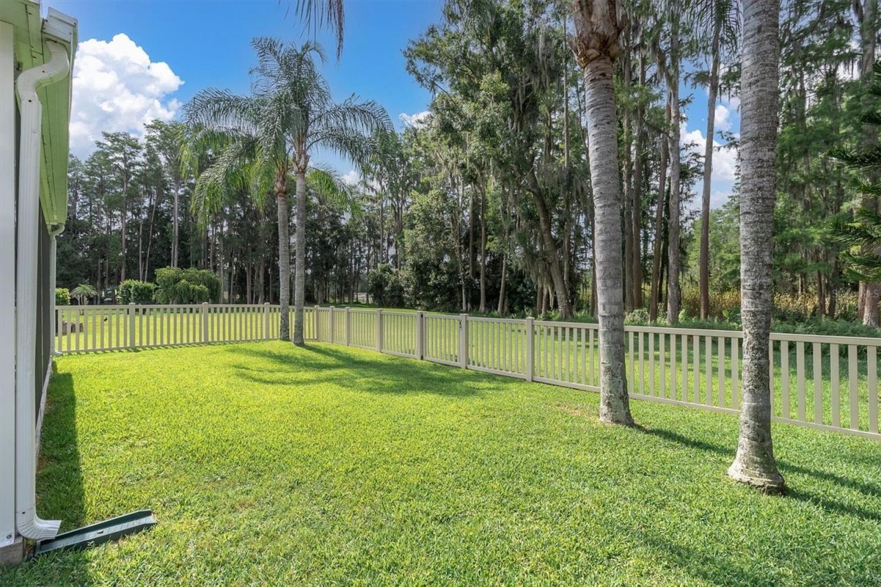 7832 Blue Spring Drive , Land O Lakes, FL 34637 Photo
