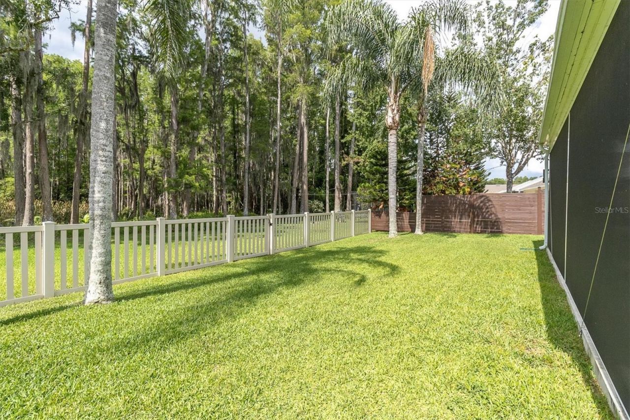 7832 Blue Spring Drive , Land O Lakes, FL 34637 Photo