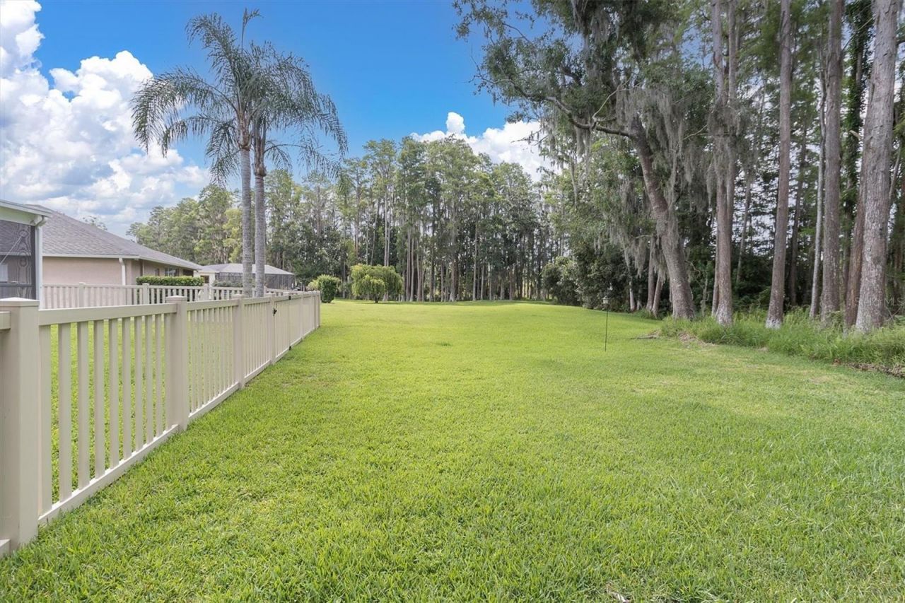 7832 Blue Spring Drive , Land O Lakes, FL 34637 Photo