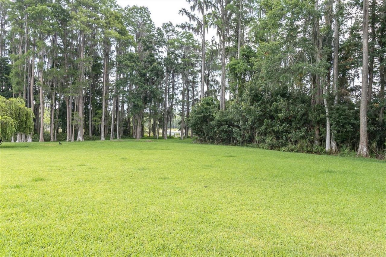7832 Blue Spring Drive , Land O Lakes, FL 34637 Photo