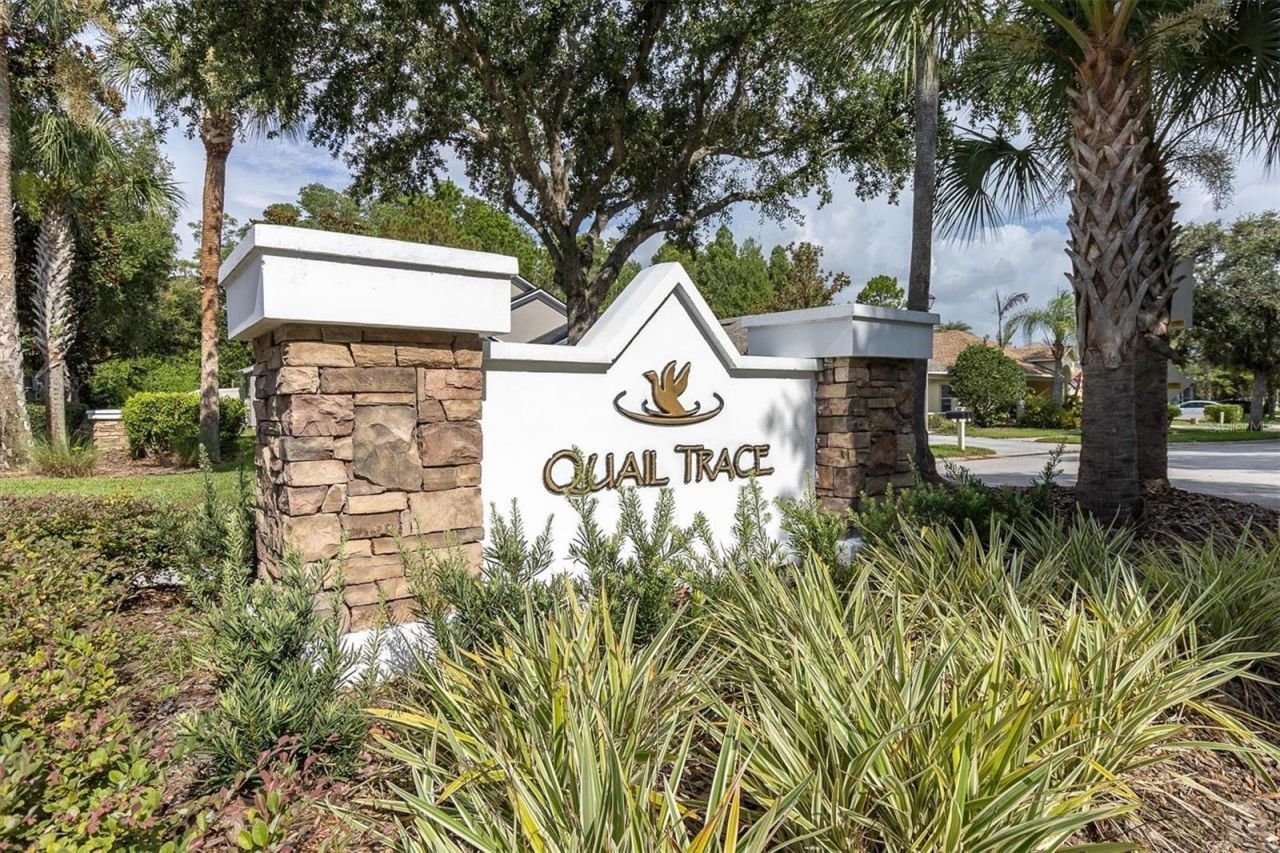 7832 Blue Spring Drive , Land O Lakes, FL 34637 Photo