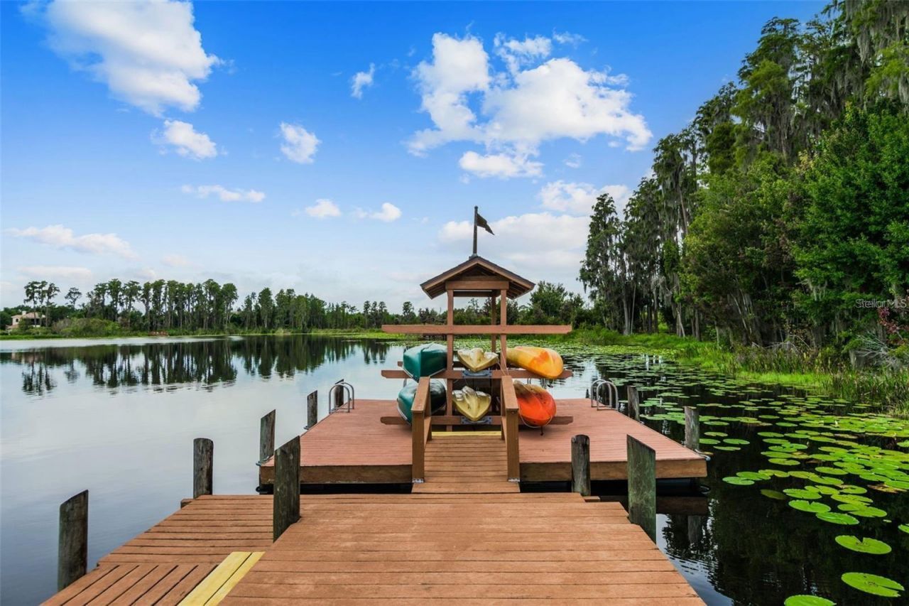 7832 Blue Spring Drive , Land O Lakes, FL 34637 Photo