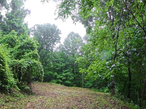 385 Valley View Drive , Maggie Valley, NC 28751