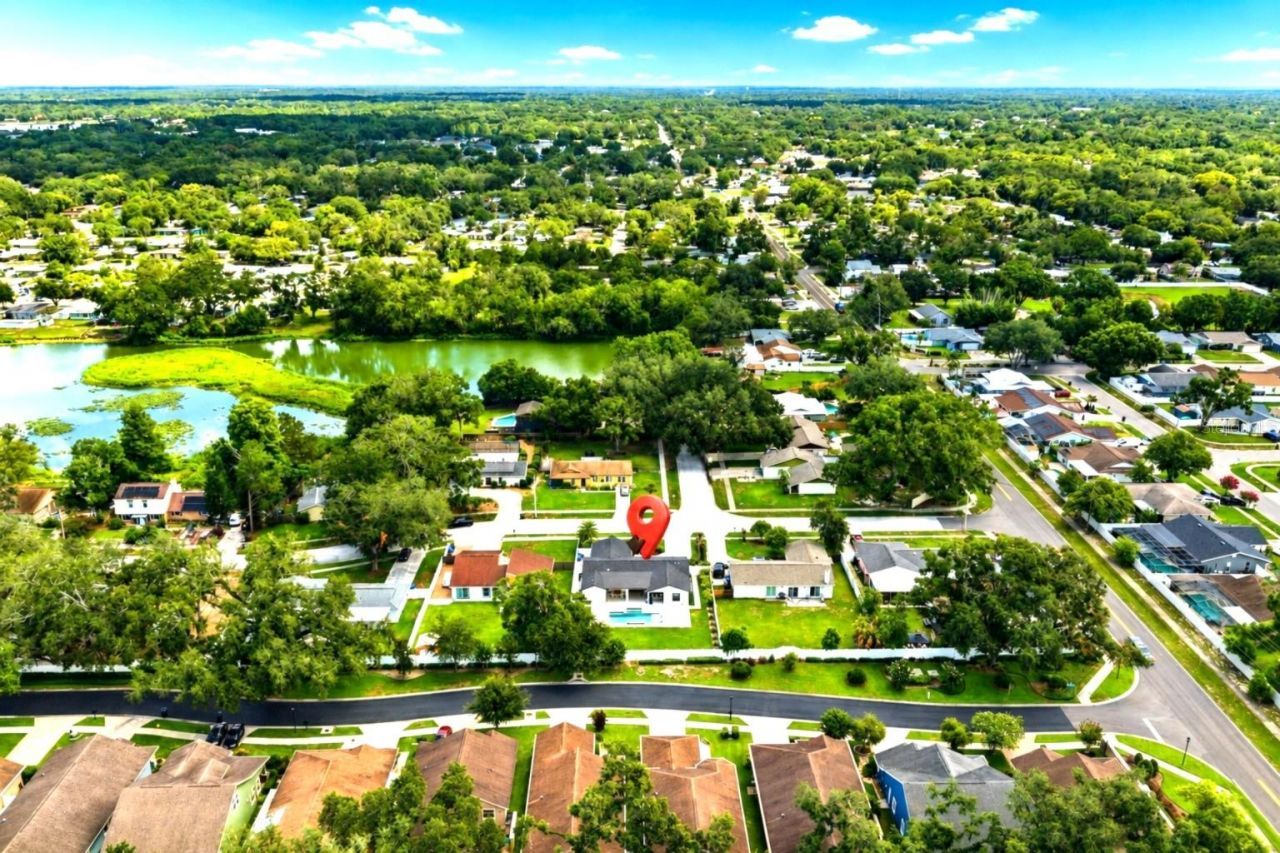 906 Samy Drive, Tampa, FL 33613 Photo