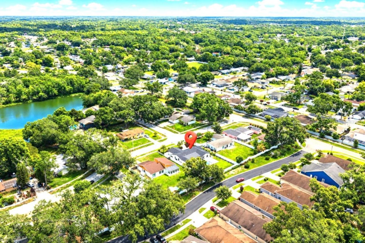 906 Samy Drive, Tampa, FL 33613 Photo