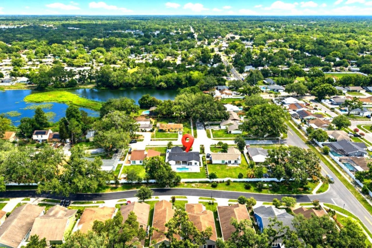 906 Samy Drive, Tampa, FL 33613 Photo