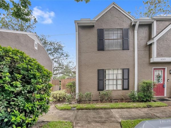 16547 LAKE BRIGADOON CIRCLE , TAMPA, FL 33618