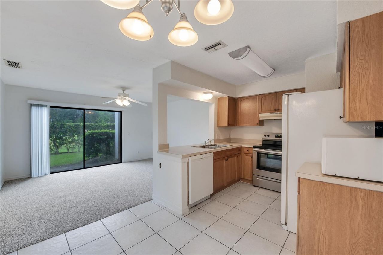 16547 Lake Brigadoon Circle , Tampa, FL 33618 Photo