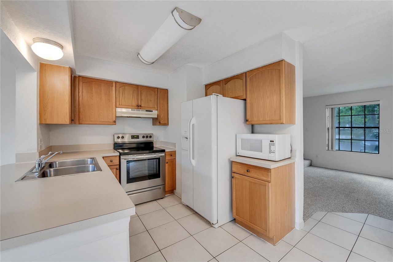 16547 Lake Brigadoon Circle , Tampa, FL 33618 Photo