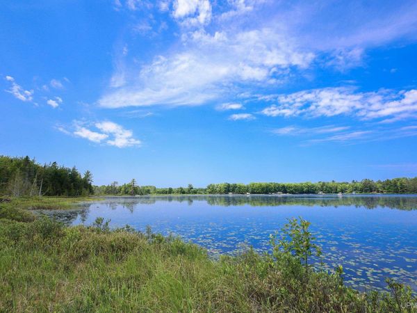 TBD Sigan Road, Onota Twp, MI 49822