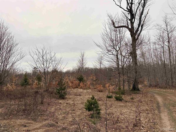 TBD County Rd L-8 Road, Nahma Twp, MI 49878