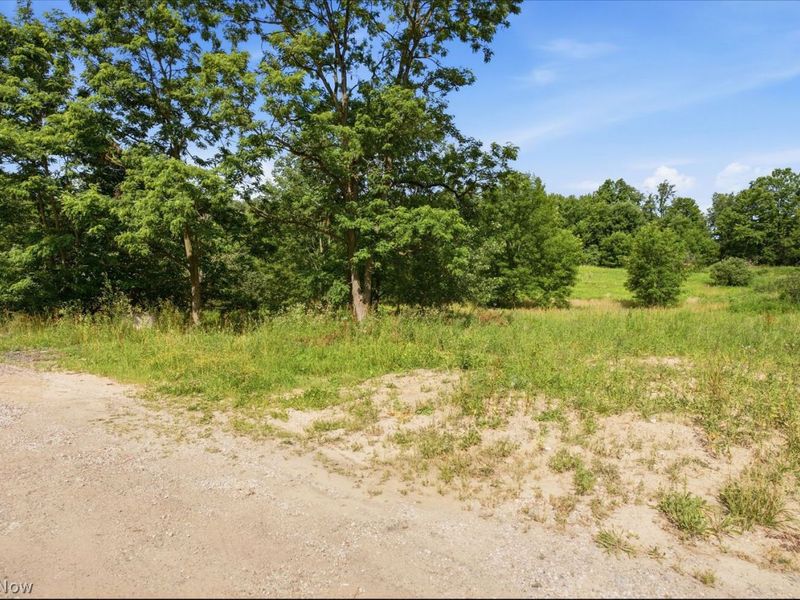 9075 Diagonal Road, Streetsboro, OH 44241 Photo 13