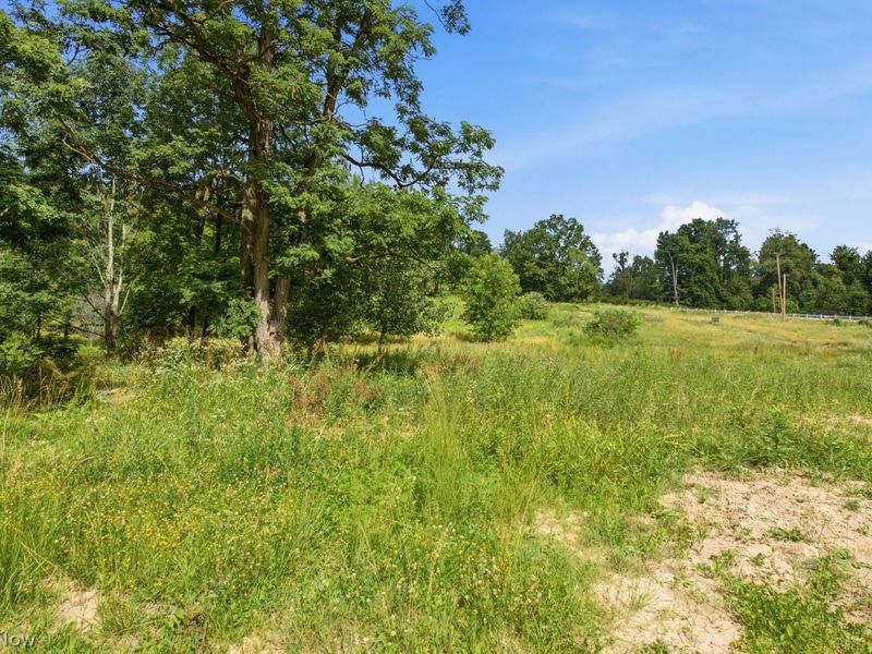 9075 Diagonal Road, Streetsboro, OH 44241 Photo 17
