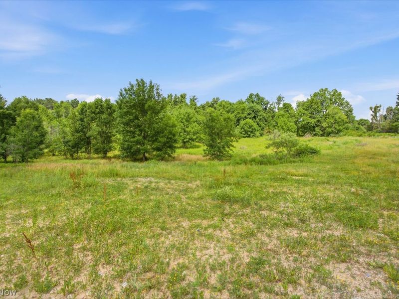 9075 Diagonal Road, Streetsboro, OH 44241 Photo 18