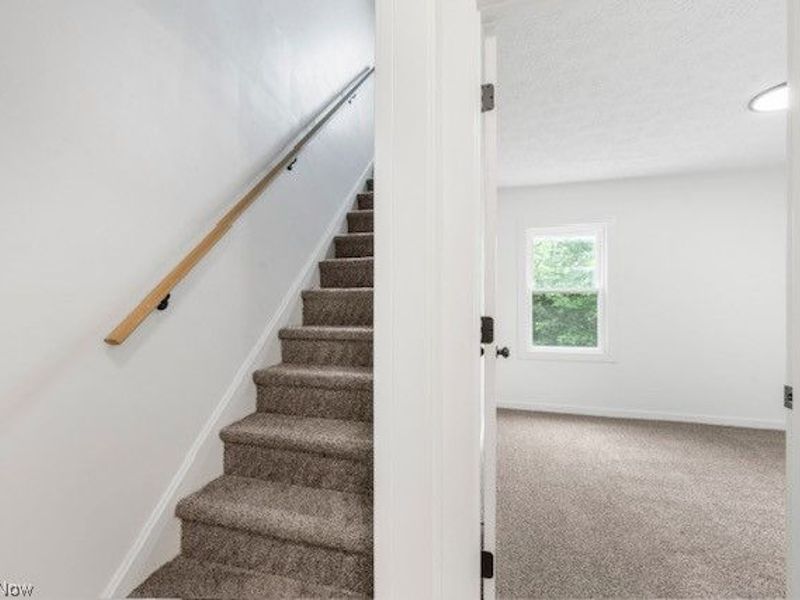 1146 Packard Drive, Akron, OH 44320 Photo 19