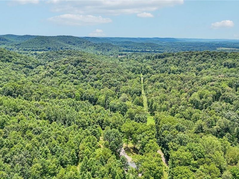 33509 Clipner Road, Ray, OH 45647 Photo 42
