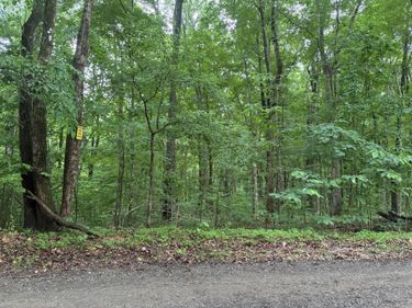 8v Redwood Drive, Cadiz, KY 42211