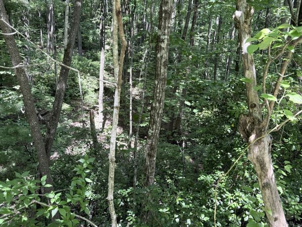 LOT 856 Larkspur Lane, Clayton, GA 30525