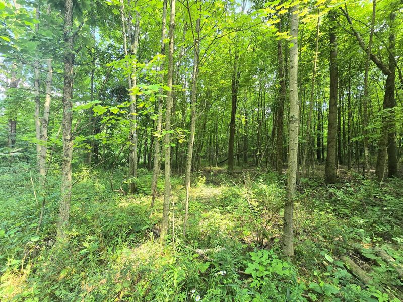 9026 Gregg Road , Fredericktown, OH 43019 Photo 12