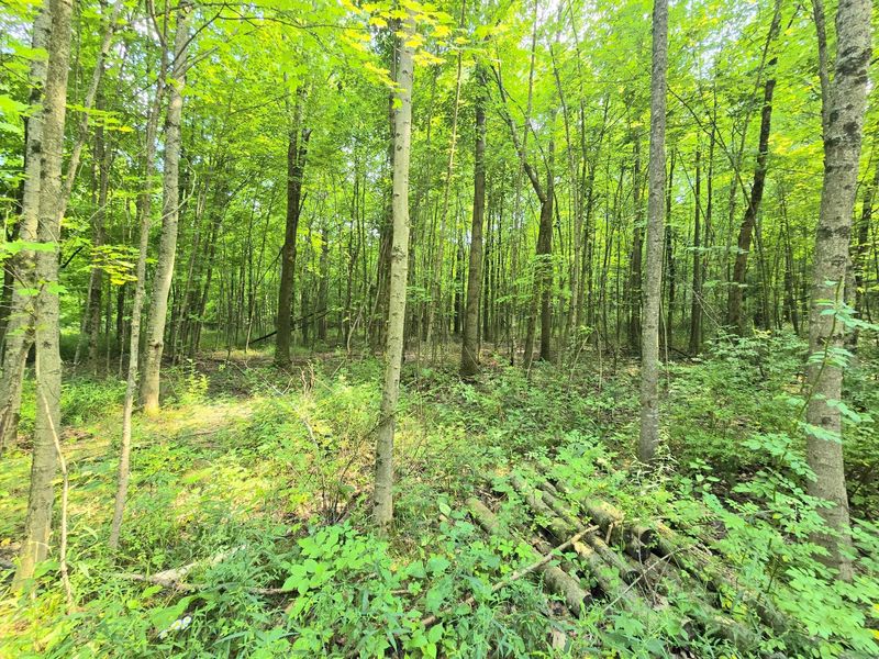 9026 Gregg Road , Fredericktown, OH 43019 Photo 13
