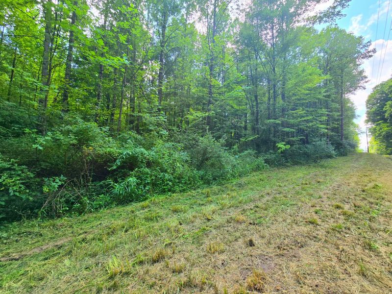 9026 Gregg Road , Fredericktown, OH 43019 Photo 14