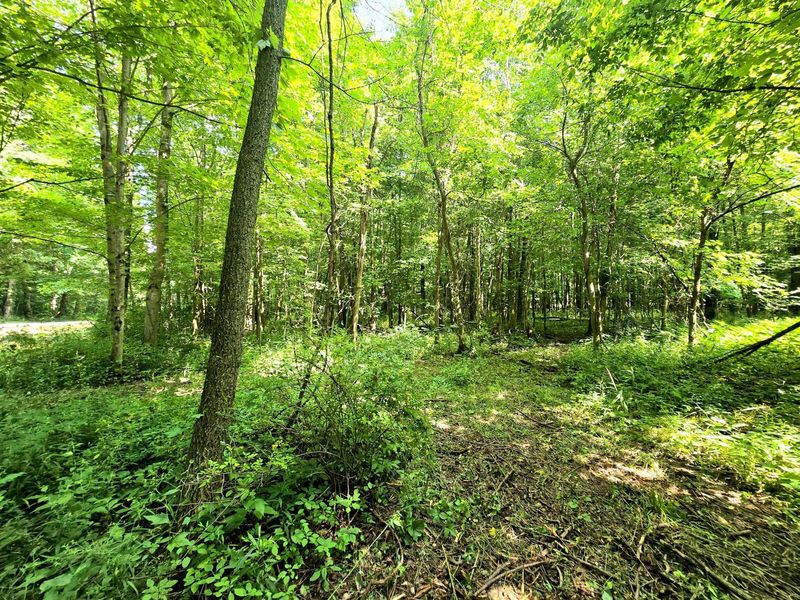 9026-1 Gregg Road , Fredericktown, OH 43019 Photo 1